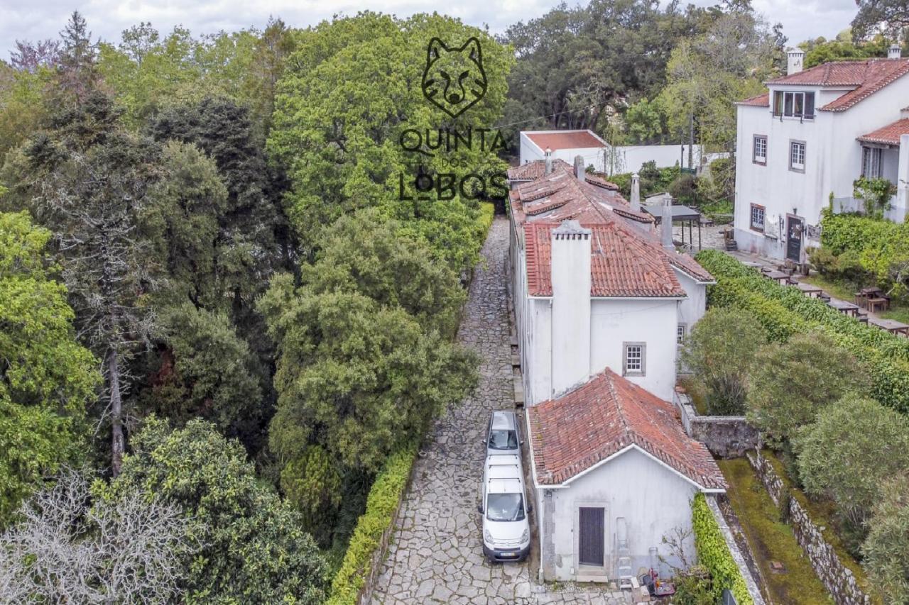 Quinta Dos Lobos Boutique Hotel - Nature Experience 辛特拉 外观 照片