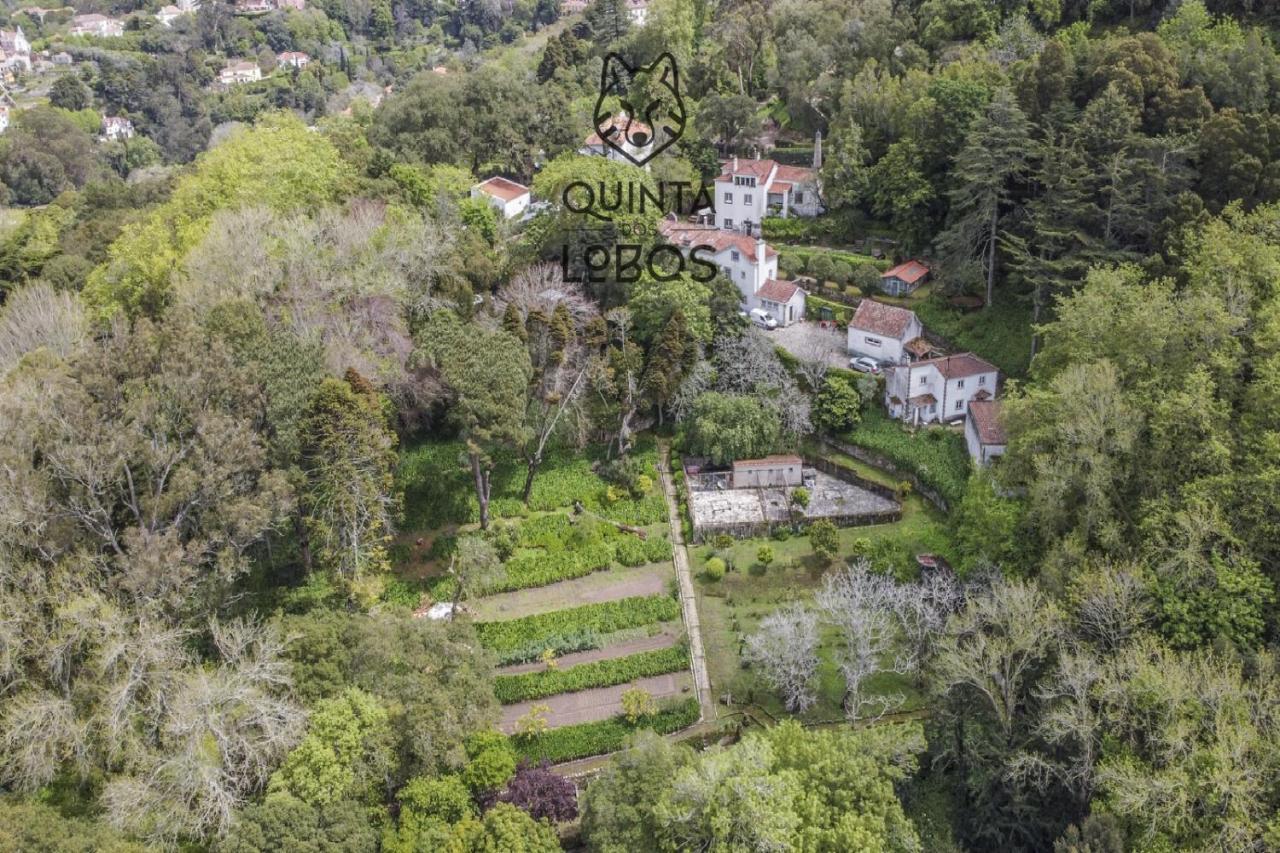 Quinta Dos Lobos Boutique Hotel - Nature Experience 辛特拉 外观 照片